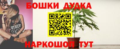 мдпв Беслан