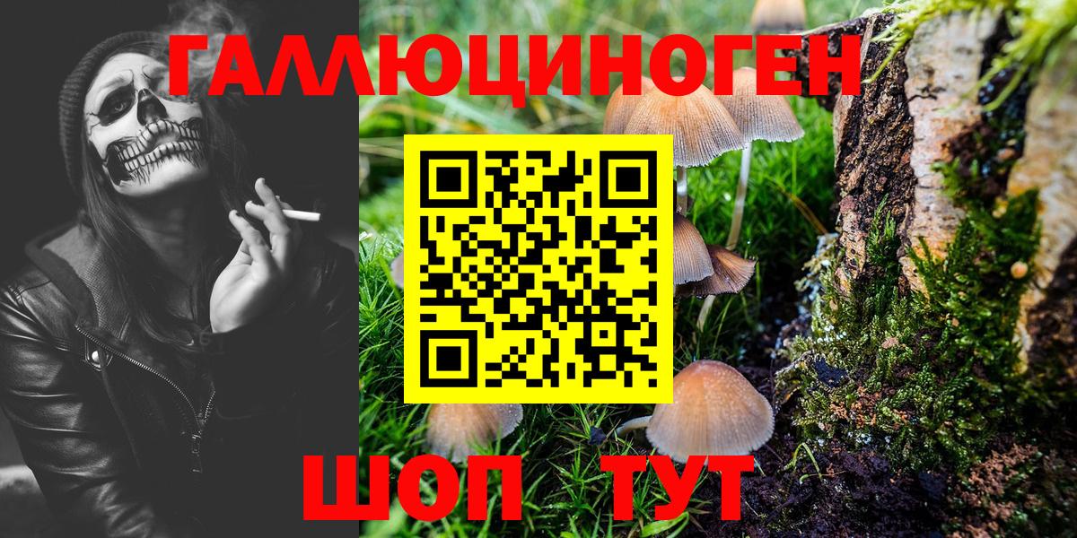 Галлюциногенные грибы MAGIC MUSHROOMS Изобильный